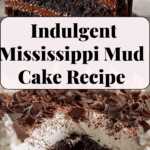 Mississippi Mud Cake Recipe