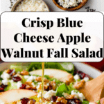 Blue Cheese Apple Walnut Salad Recipe
