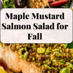 Harvest Maple Mustard Salmon Salad Recipe