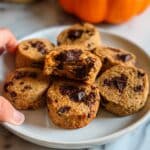 Pumpkin Protein Muffins with Chocolate Chips Recipe