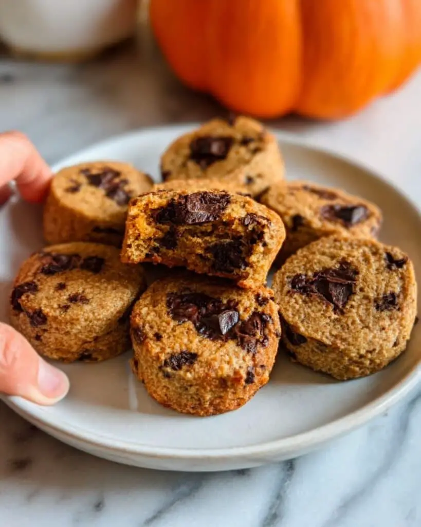 Pumpkin Protein Muffins with Chocolate Chips Recipe
