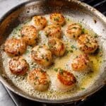 Grilled Scallops Recipe