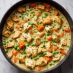 Slow Cooker Chicken and Dumplings Recipe