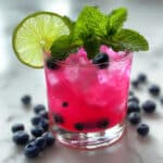 Fresh Blueberry Mojito Cocktail Recipe