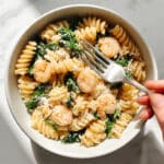 Creamy Chicken and Mushroom Pasta Recipe