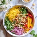 Thai Chicken Mango Salad Recipe