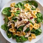 Chicken Teriyaki Bowtie Pasta Salad Recipe
