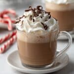 Frozen Hot Chocolate Recipe
