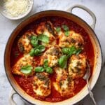 Summer Stuffed Shells with Ricotta, Spinach, and Zucchini Recipe