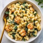Creamy Seafood Pasta Salad Recipe