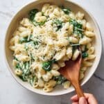 Lemon Ricotta Pasta with Spinach Recipe