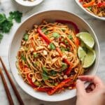 Vegetable Stir Fry Noodles Recipe